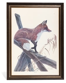 'Red Fox' J. A. Ruthven Lithograph Print Editioned