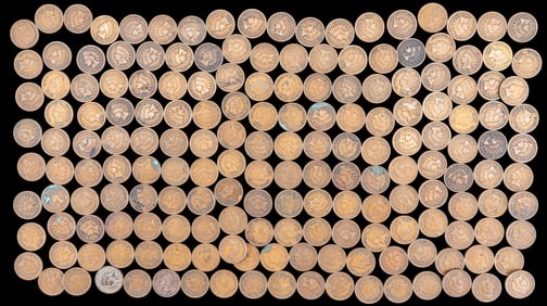 Indian Head Pennies (178)