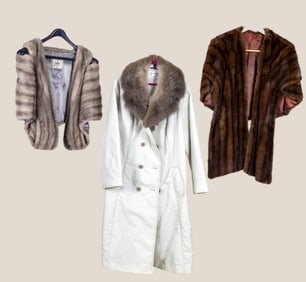 Mink Fur Shrugs and Fur Collar Jacket