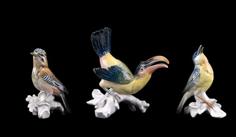 Karl Ens Porcelain Bird Figurines (3)