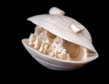 Carved Nat. Material Clam Sculpture