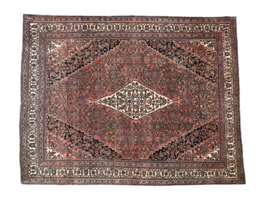 Large Oriental Area Rug