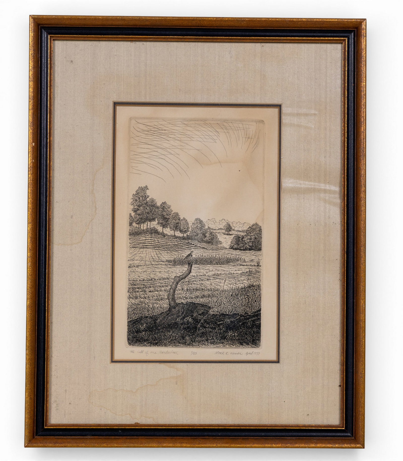 Intaglio Prints, Meadowlark Mark R. Woodie, Farmer (1 of 14)