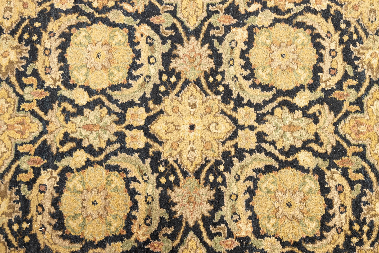 Modern Indian Runner - 5