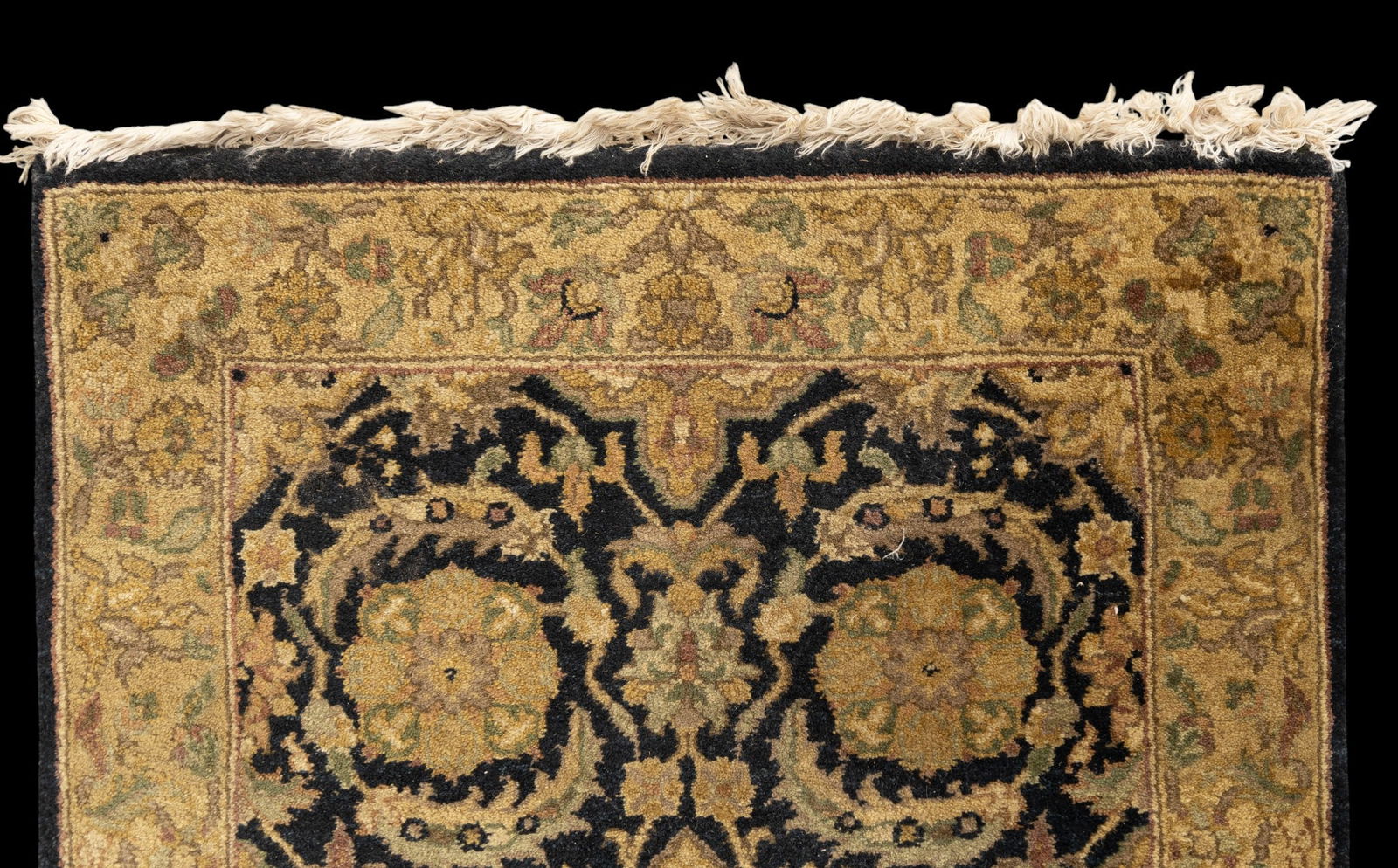 Modern Indian Runner - 6