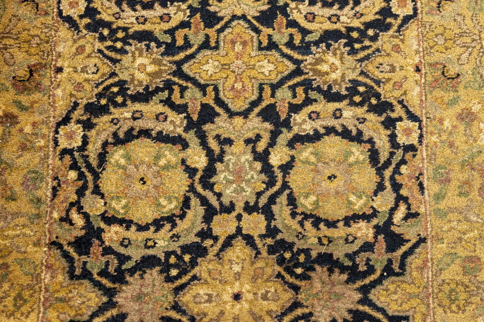 Modern Indian Runner - 7