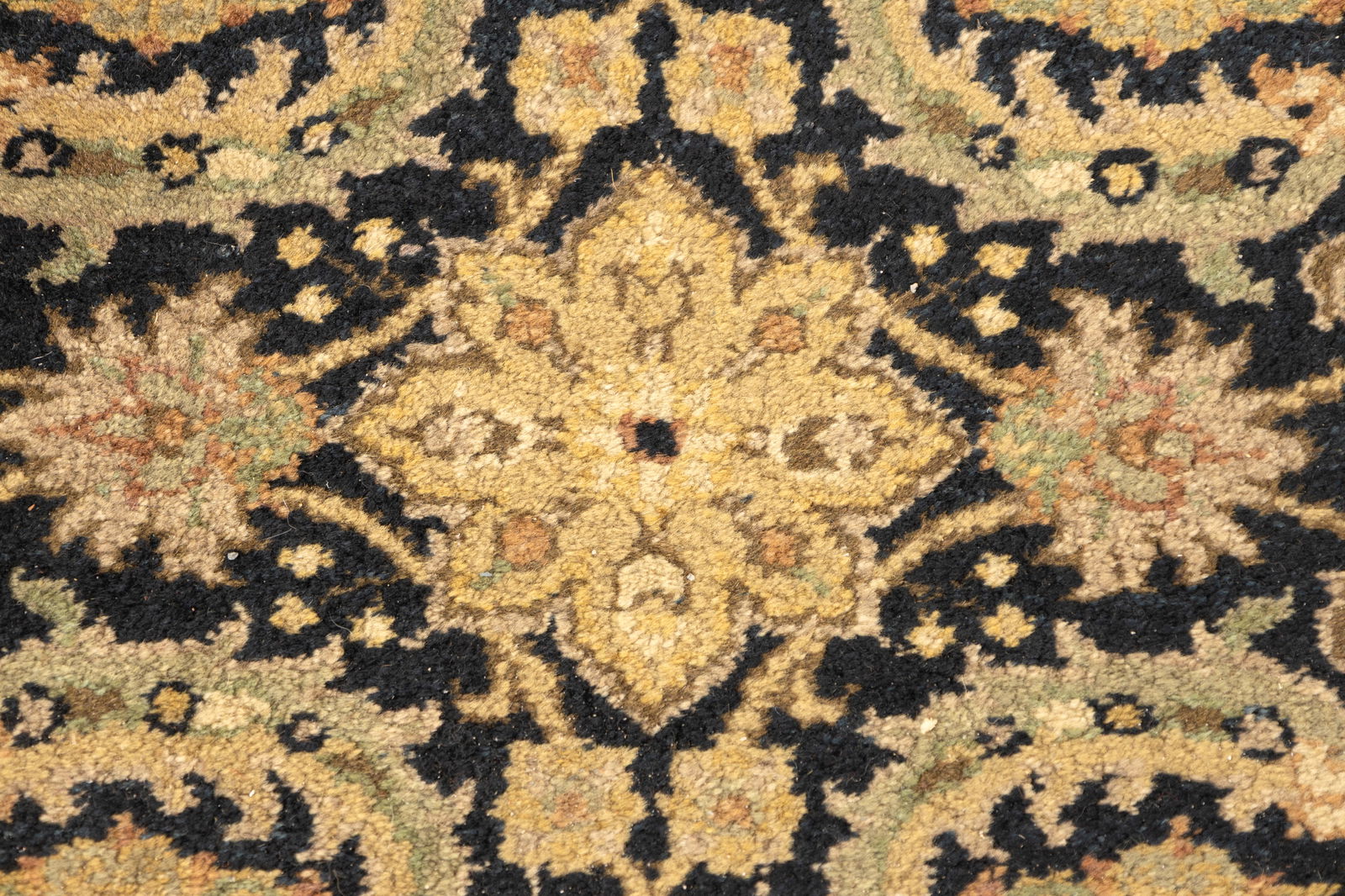 Modern Indian Runner - 8