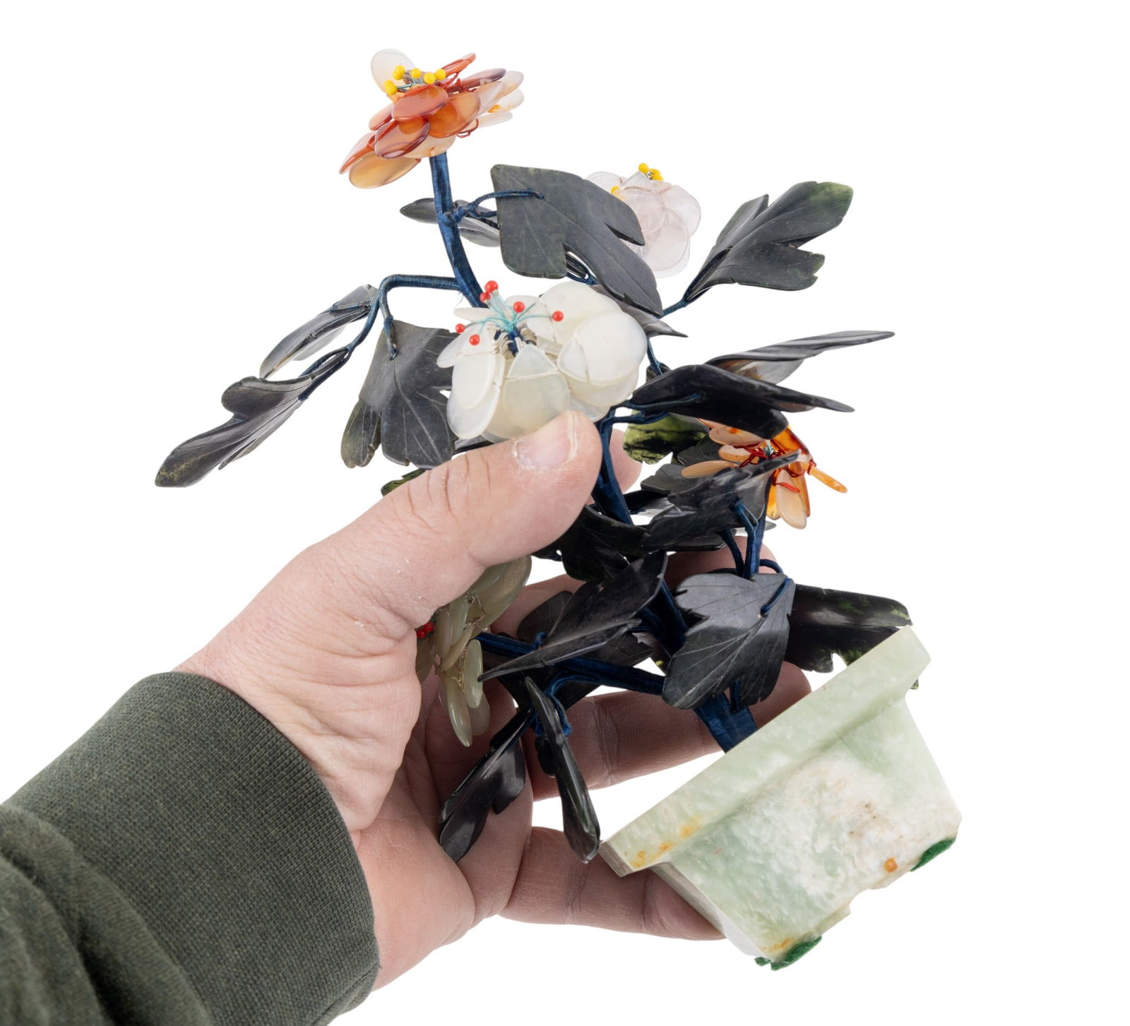 Tabletop Jade Tree in Planter - 5