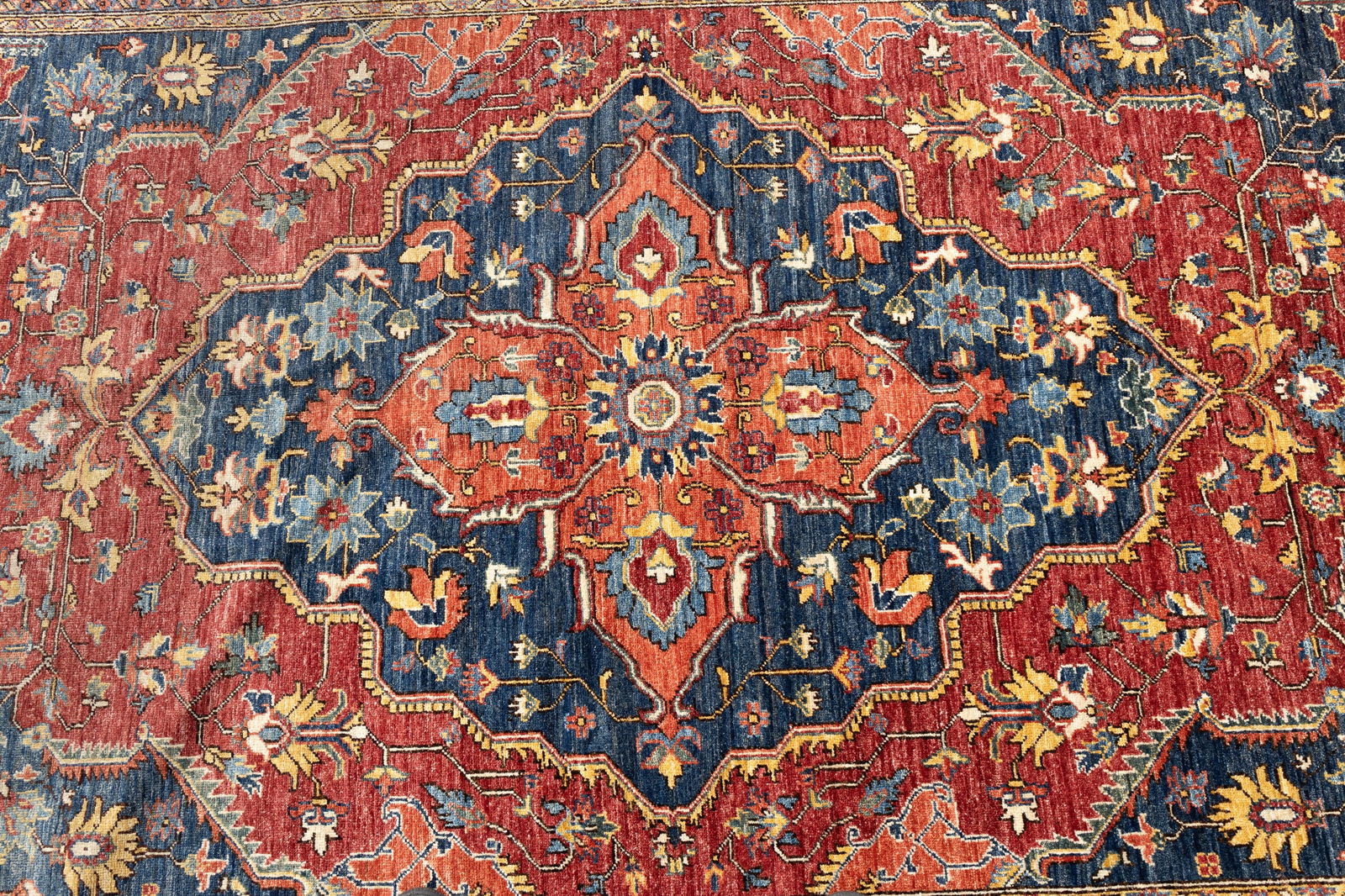 Pakistani Serapi Area Rug - 2