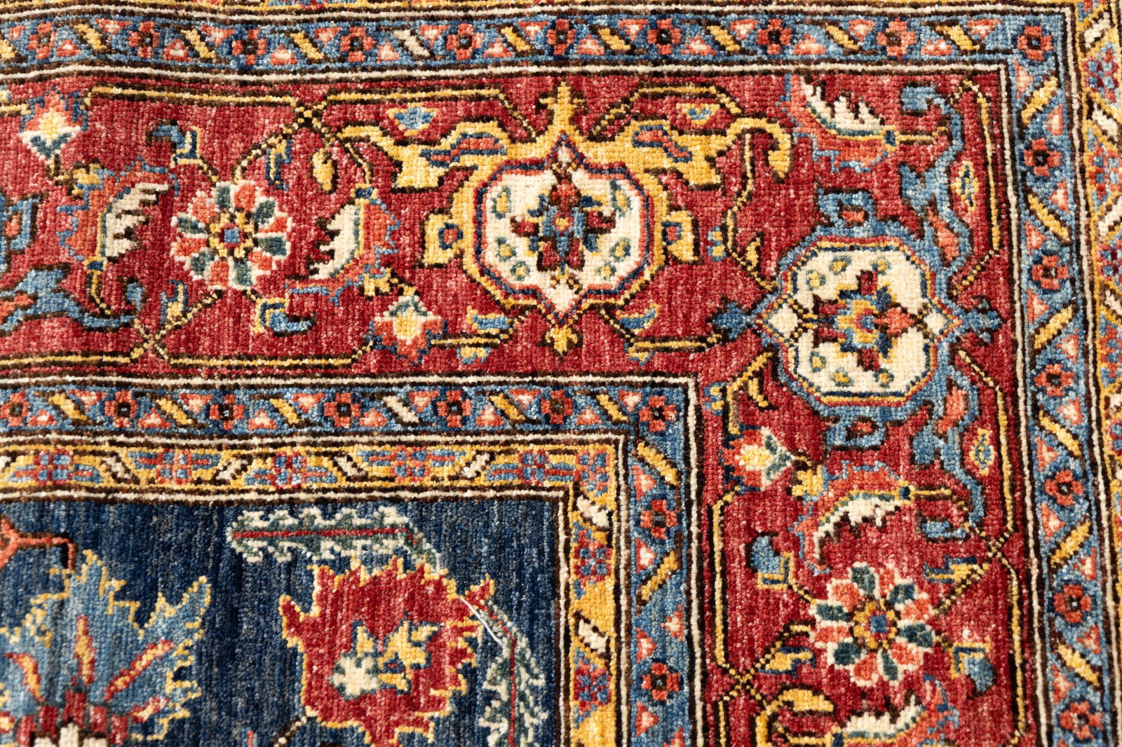 Pakistani Serapi Area Rug - 4