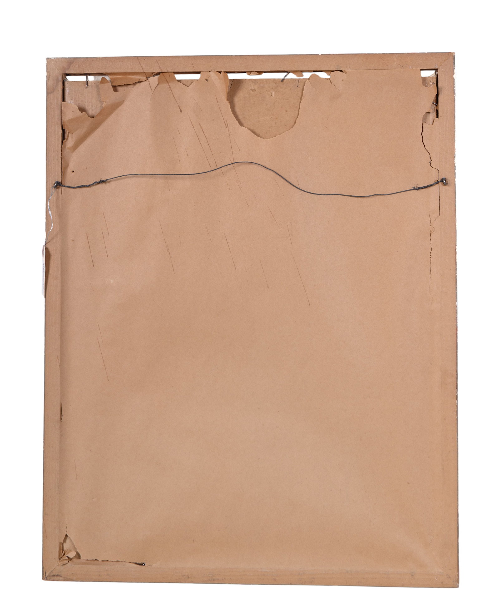 Framed Bird Prints (2) - 5