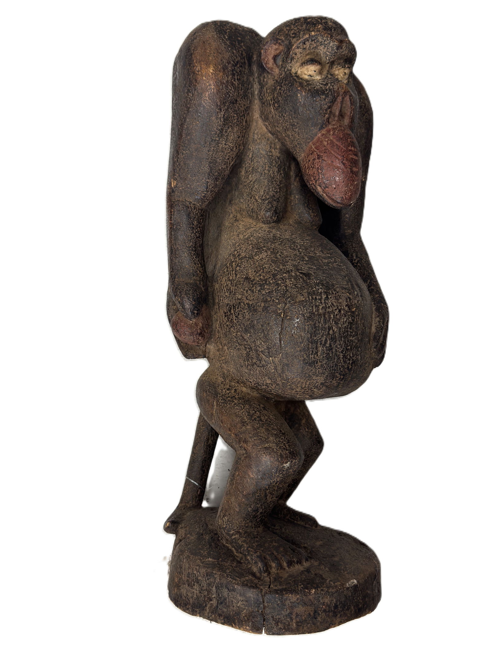 Cameroon Bulu Tribe Carved Monkey, Mid Century: Carved wood monkey statue from the Bulu tribe of Cameroon, likely dating back to the mid 20th C, these were often made using realistic animal posture and poses, measures approx. 11" W x 11" D x 27" H.