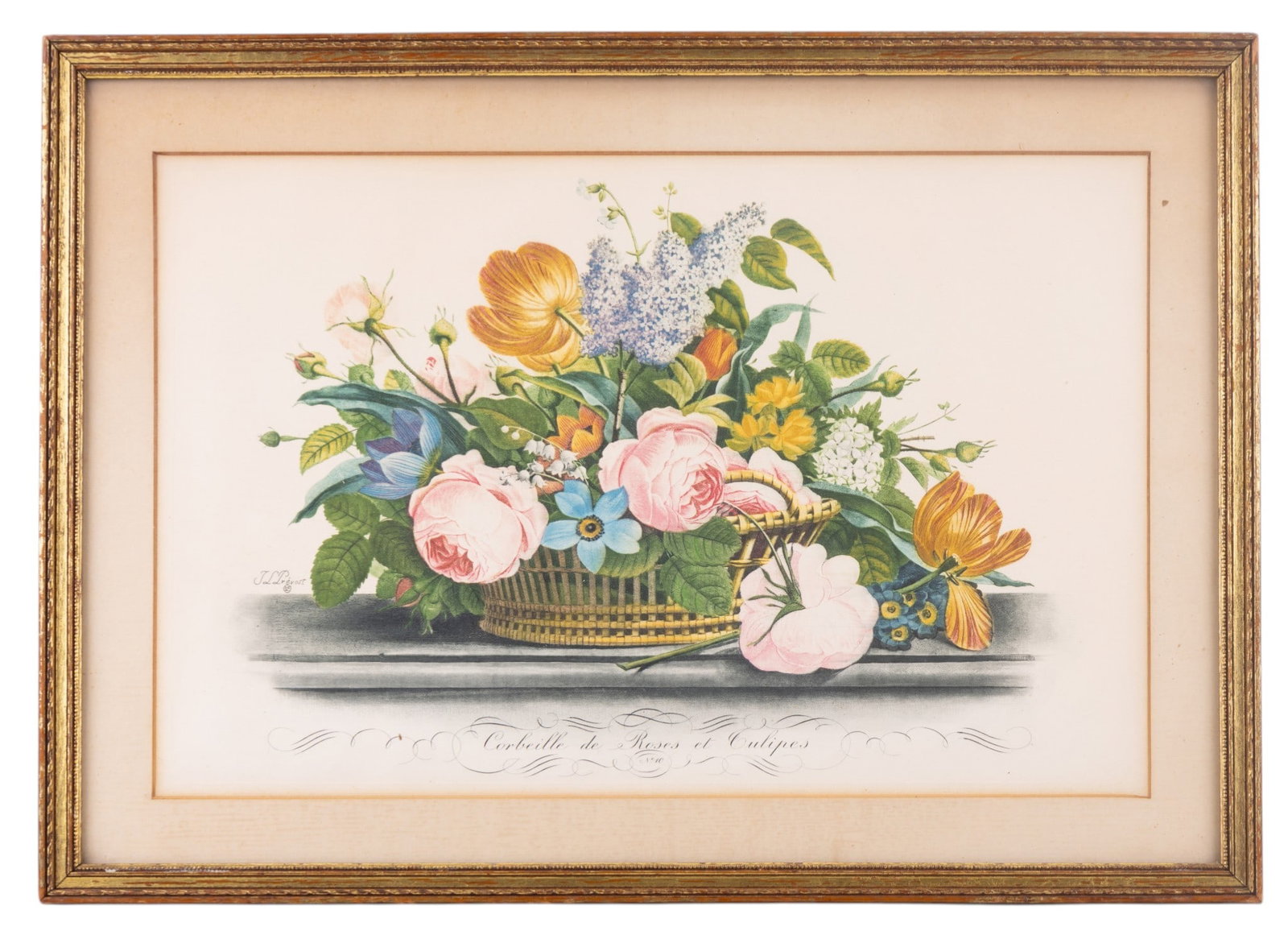 J.L. Prevost Botanical Lithograph (1 of 6)