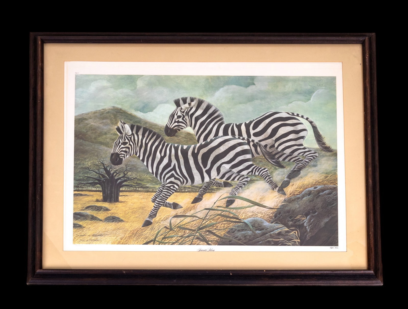John A. Ruthven "Grants Zebra" Signed Print (1 of 7)
