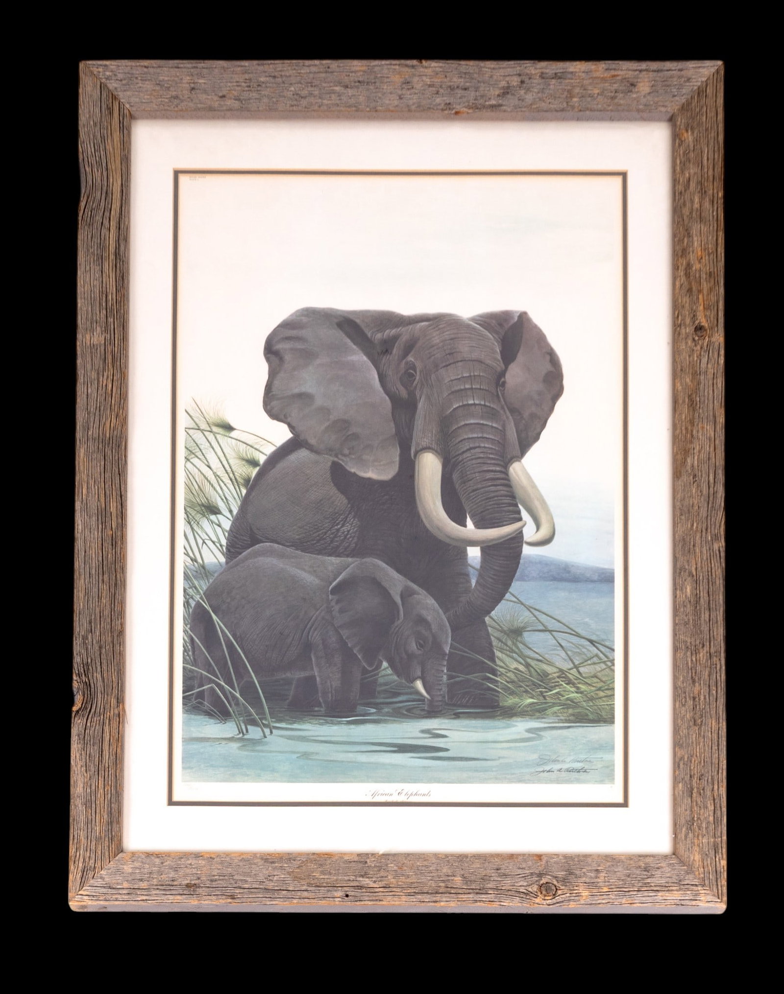 John A. Ruthven "African Elephants" Signed Print (1 of 10)
