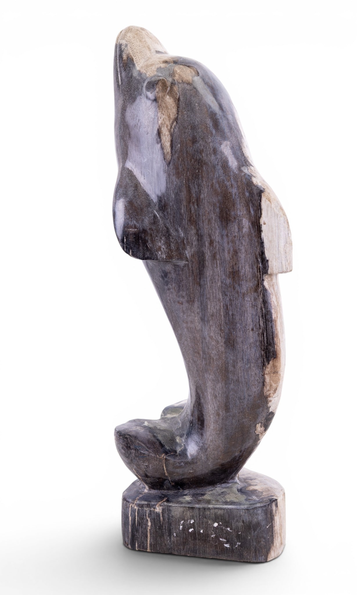 Petrified Wood Dolphin Statuette (1 of 9)