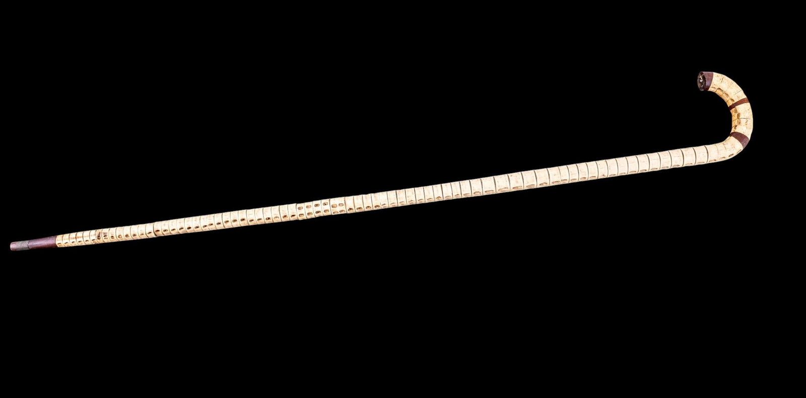 19th C Shark Vertebrae Cane (1 of 12)