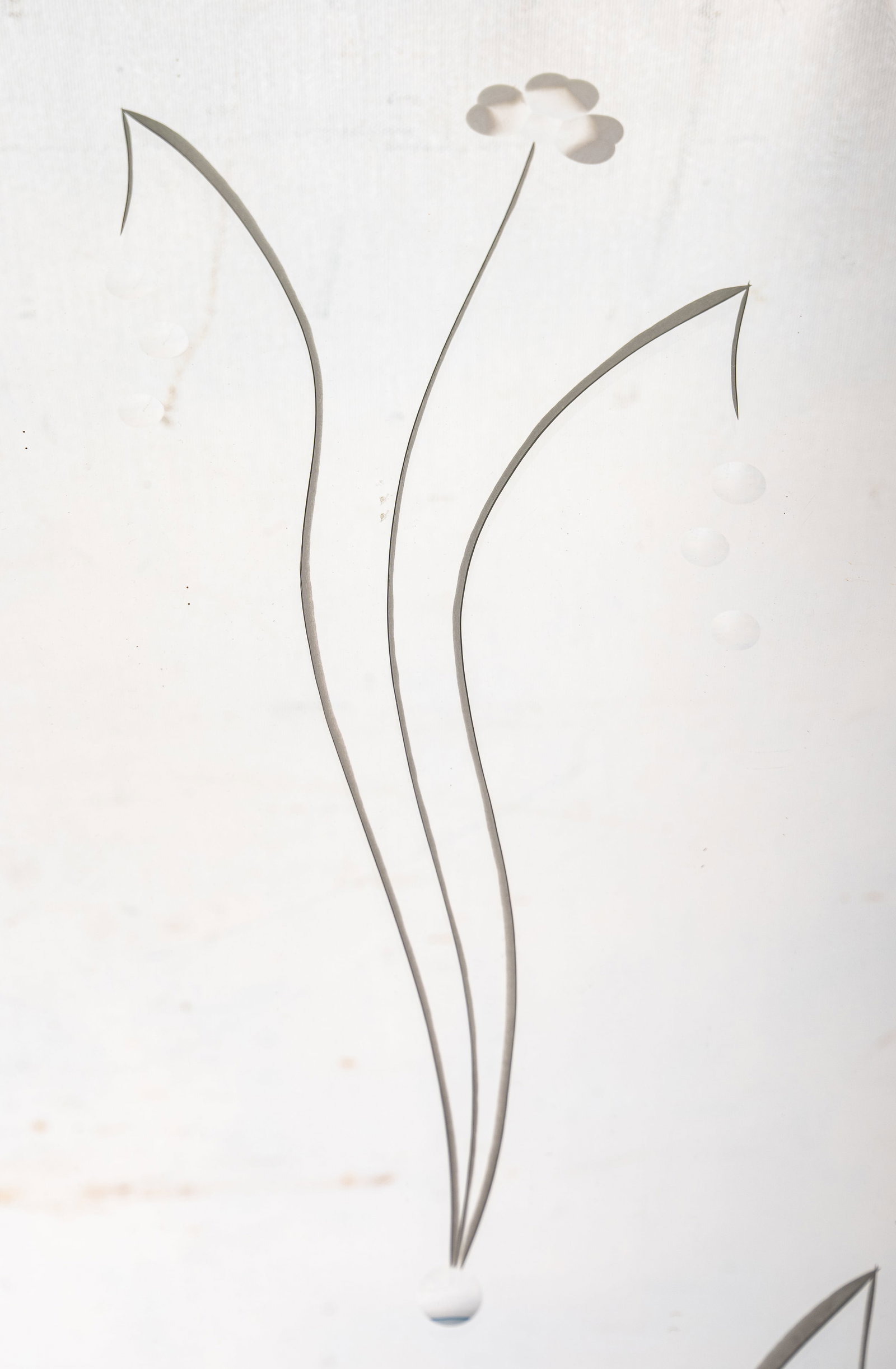 Vintage Etched Beveled Wall Mirror - 3