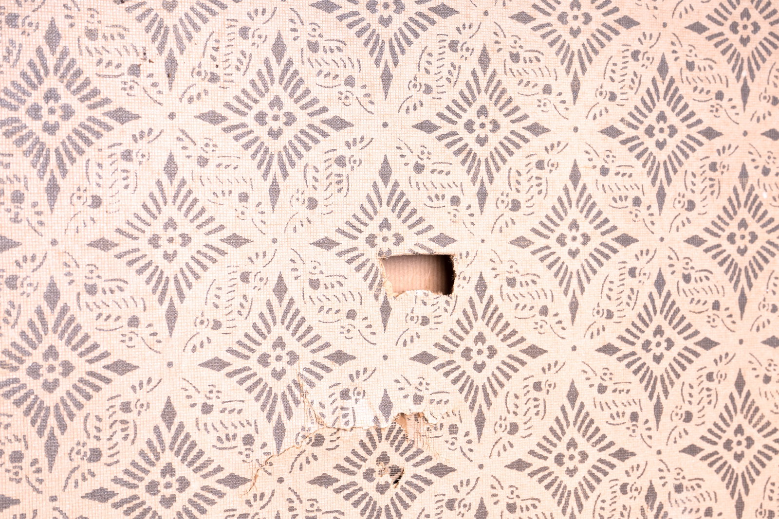 Japanese Four-Panel Folding Screen - 4