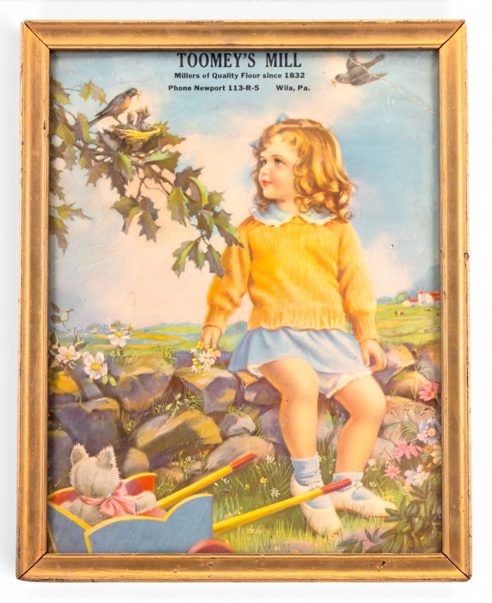 Early 20th C Toomey's Mill Advertisement Poster (1 of 4)