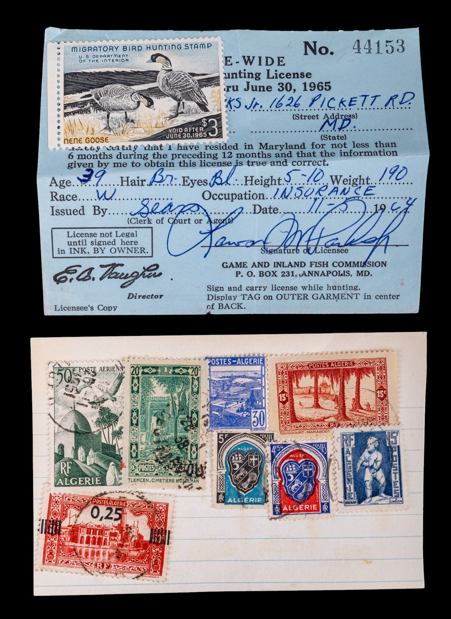 Large Stamp Collection & Philatelic Ephemera - 4