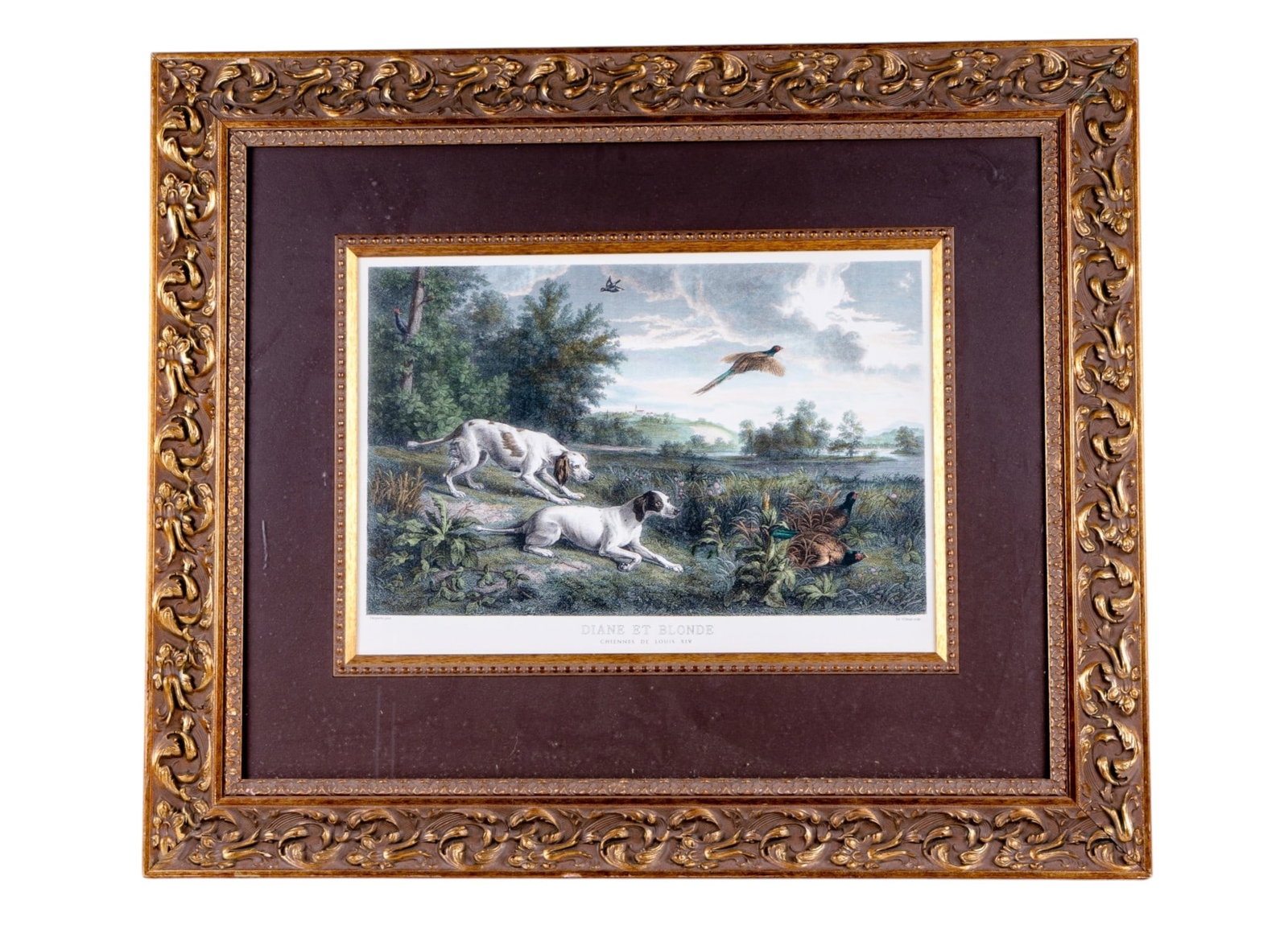 Framed Color Engraving After Ed. Willman: Framed color engraving titled Diane et Blonde (Chiennes de Louis XIV) after a sporting scene by Ed Willman, depicting hunting dogs flushing pheasants in a pastoral landscape. Measures approx. 36.5" W 
