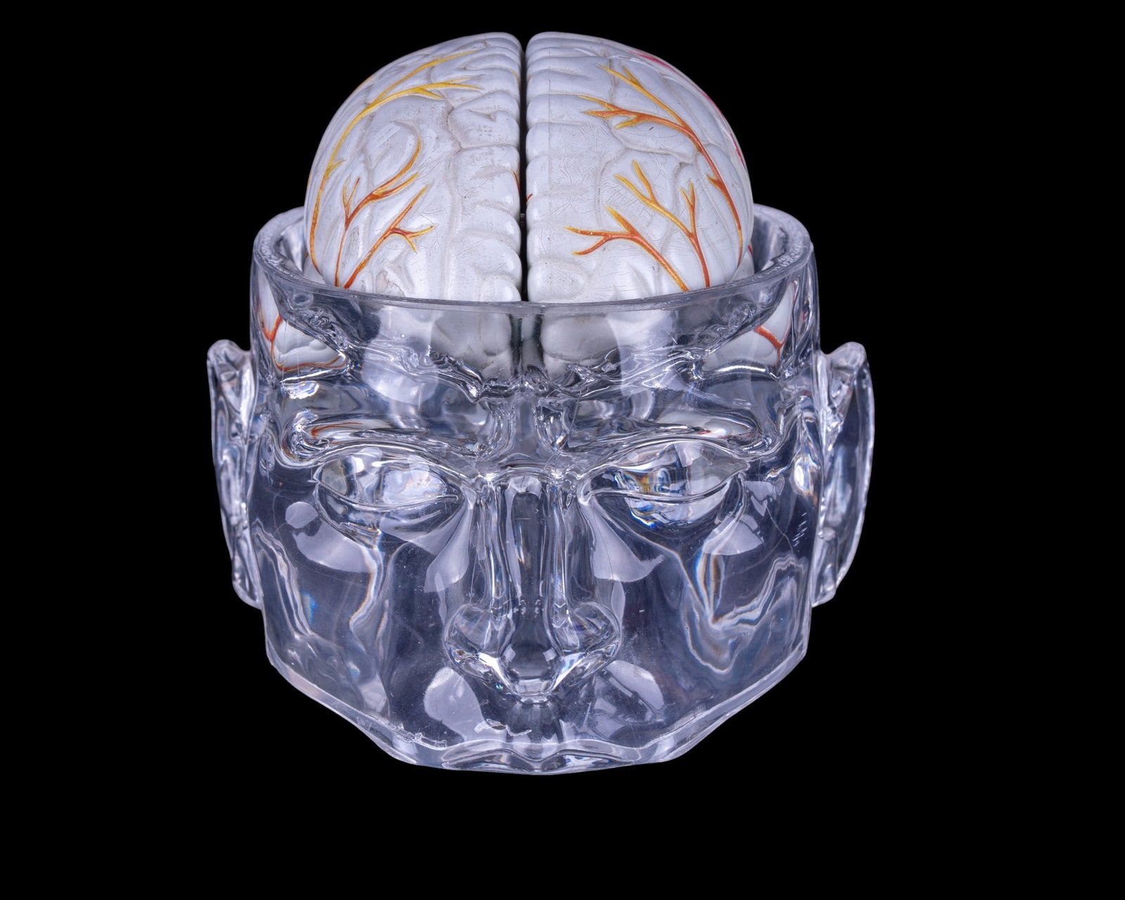 Seroquel Advertising Brain Display Model - 2