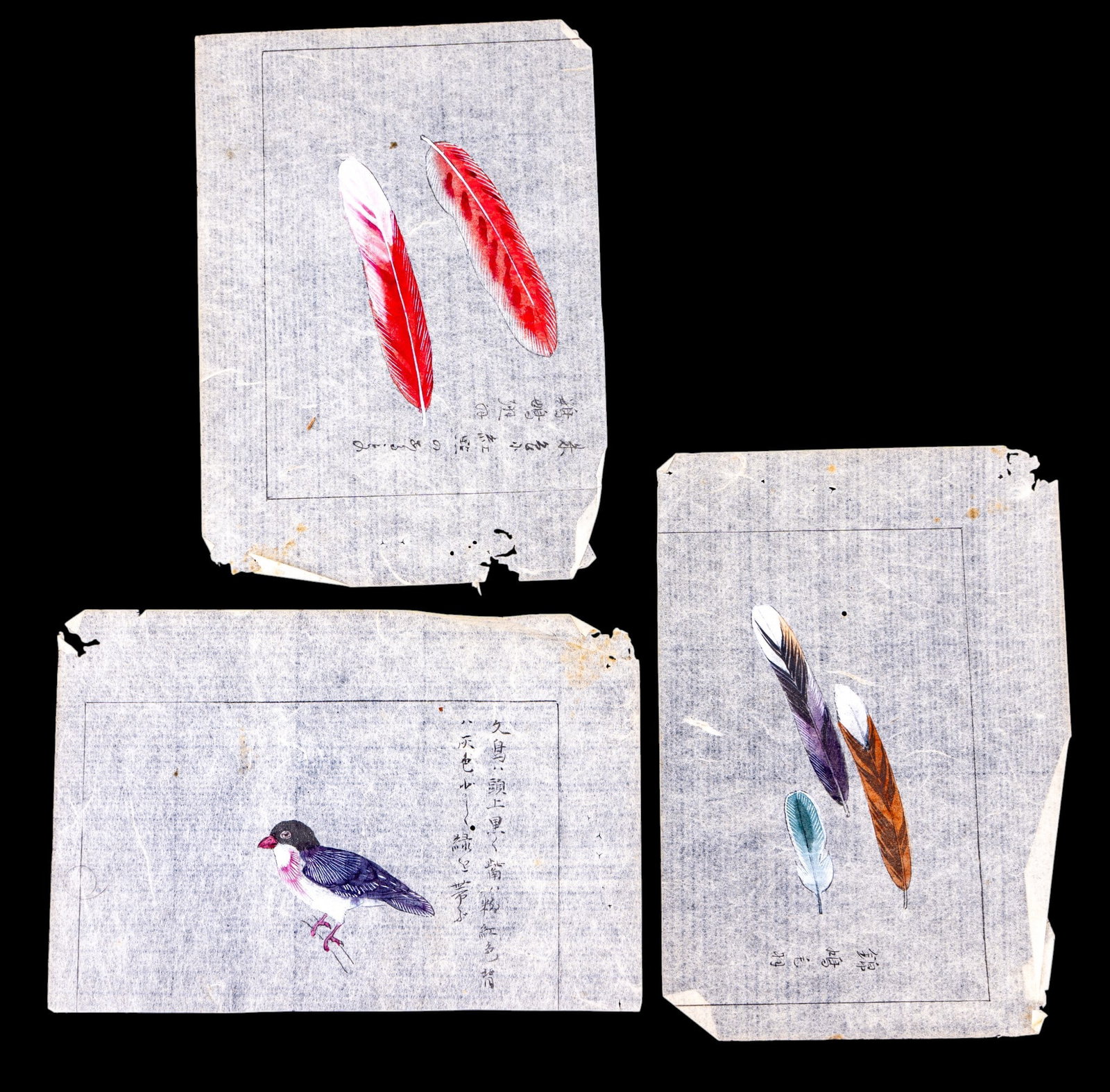 Japanese Hand Tinted Woodblock Prints / Rice Paper: Three hand tinted Japanese prints on delicate translucent rice paper depicting a bird and feathers. All measure approx. 7.5" W x 5" H.