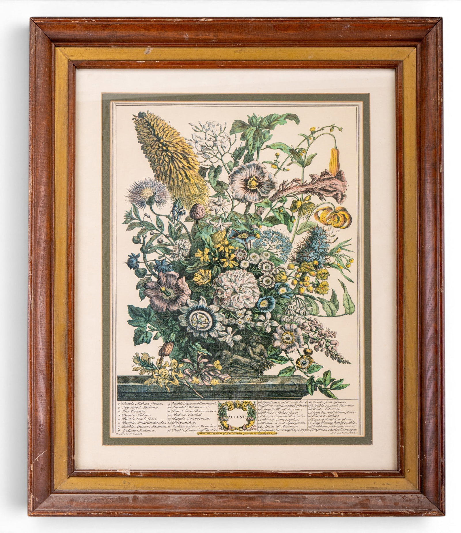Framed Botanical Engraving, August: Framed botanical engraving depicting an elaborate floral arrangement titled "August" after the Twelve Months of Flowers series from the collection of Robert Furber Gardener at Kensington. Engraved by