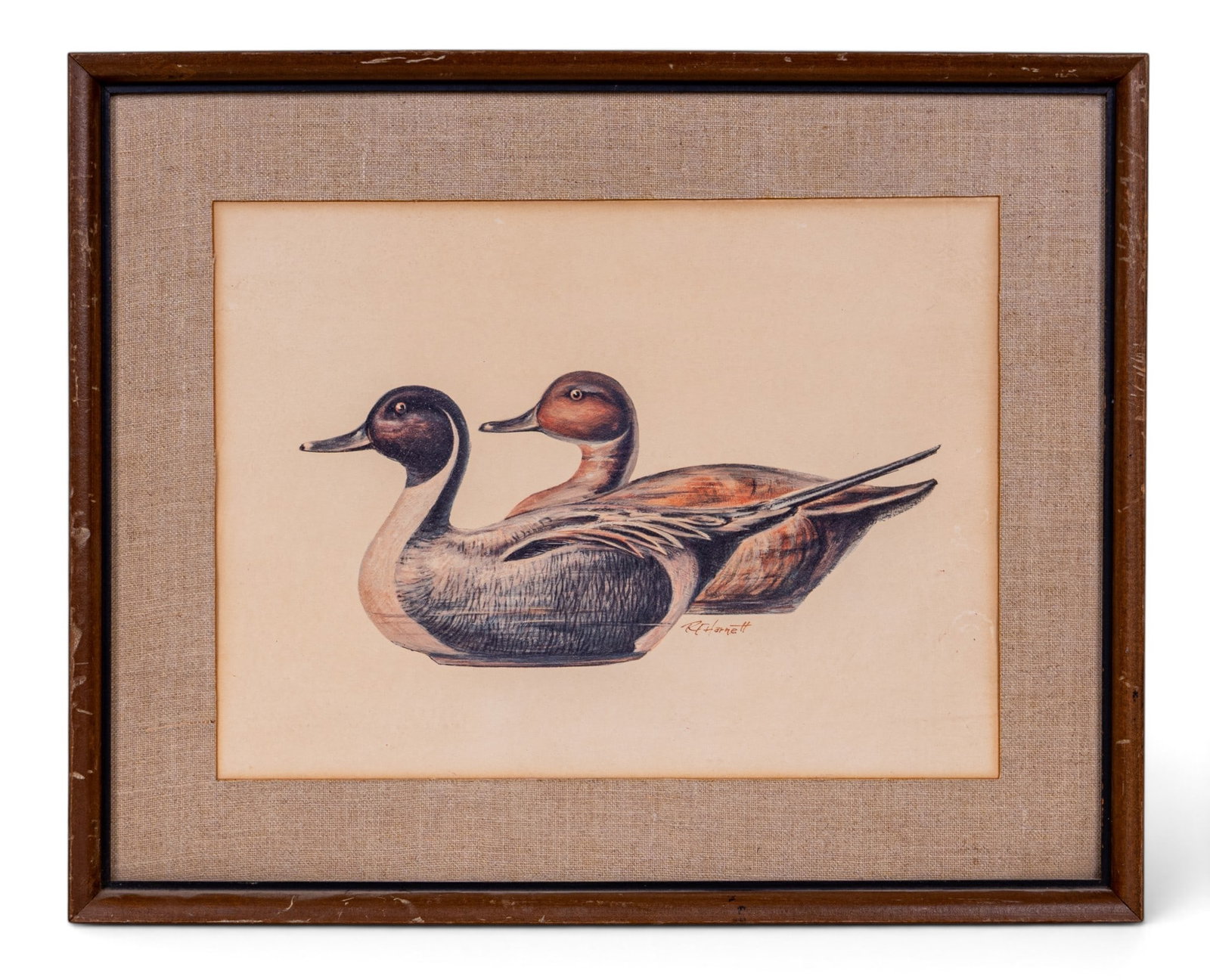 Midcentury Framed Print RF Harnett Ducks Realism: Vintage mid-century lithograph print copy of illustrator R.F. Harnett's signed painting depicting a pair of pintail ducks. Features one male and one female duck sitting amid plain background. Print ap