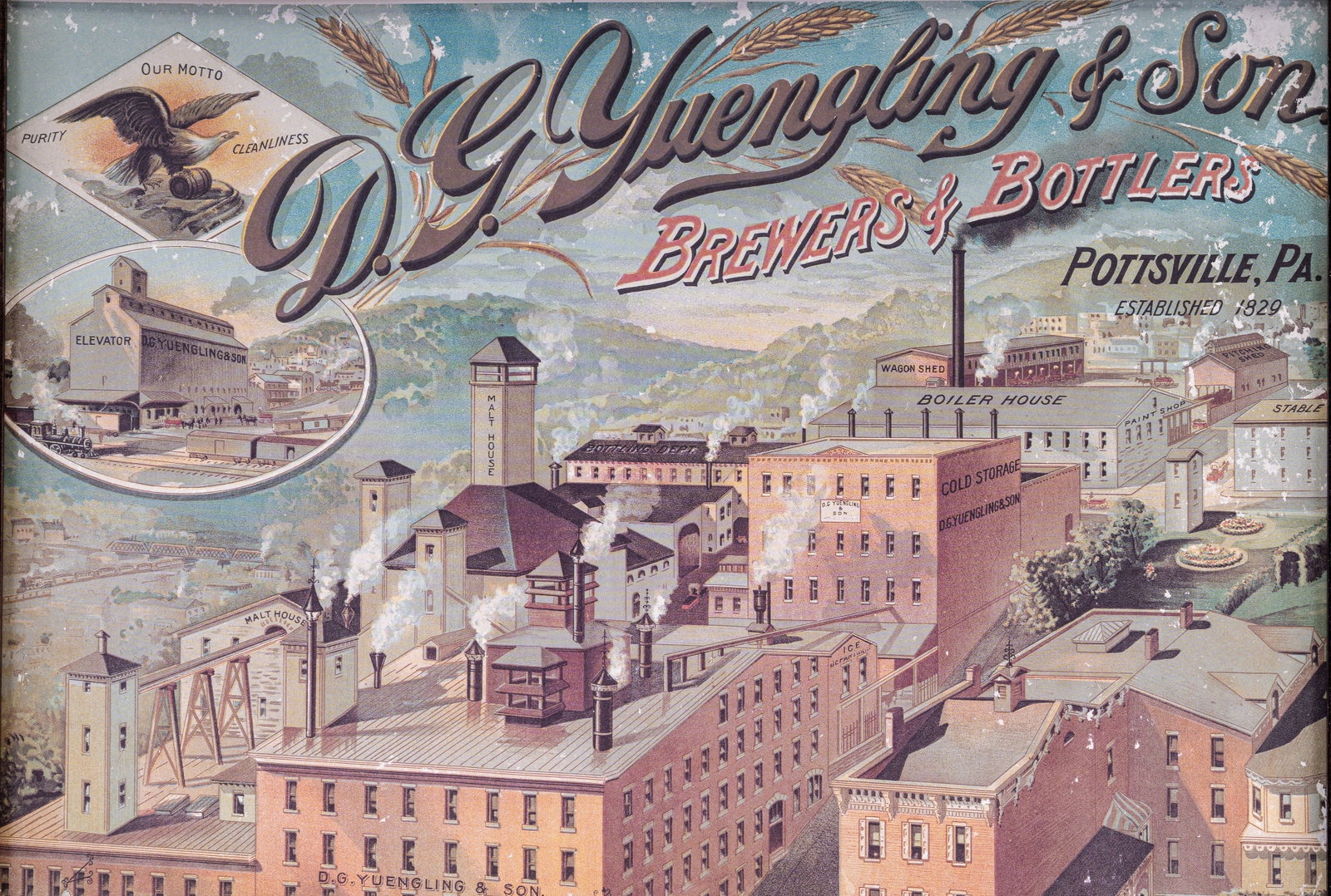 Framed Yuengling Bar Poster - 4