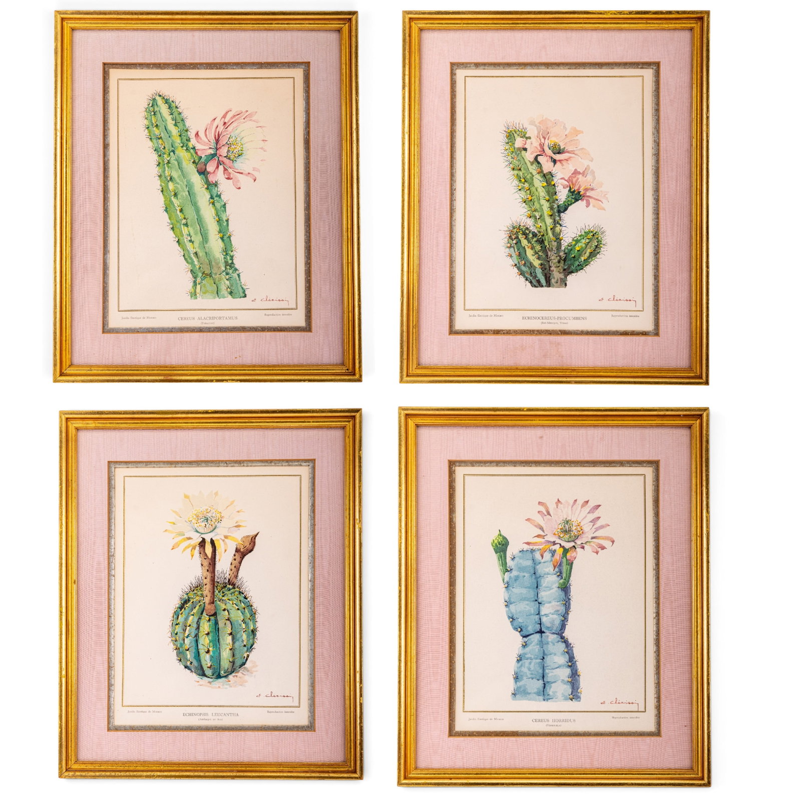 Jardin Exotique de Monaco Botanical Prints: Set of four Jardin Exotique de Moaco prints signed E. Clerissi (Etienne Clerissi), French school, 19th century showing differnt varieties of cactus These were featured in the Christie's New York Live 