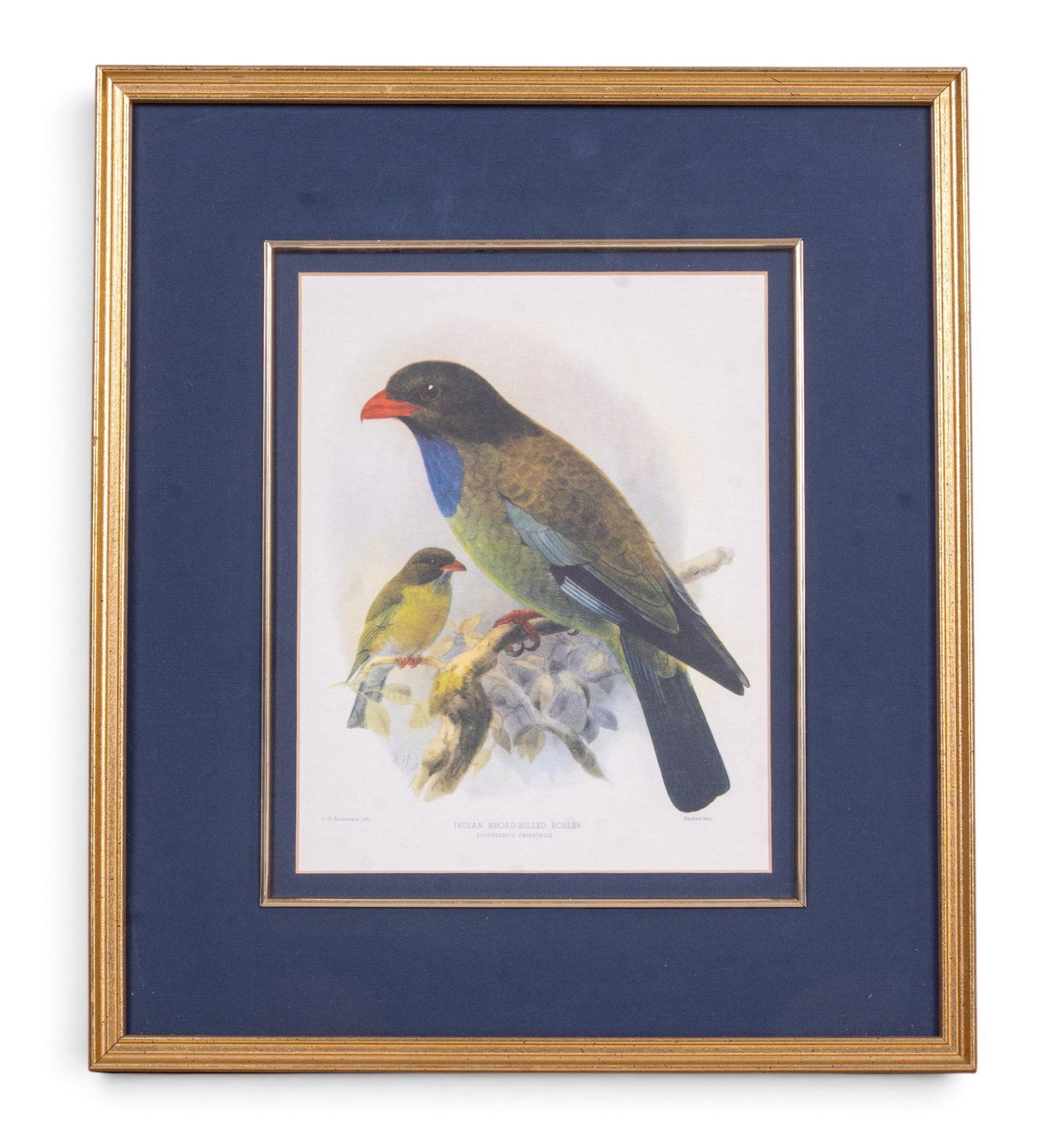 4 Signed Bird Lithographs - 14