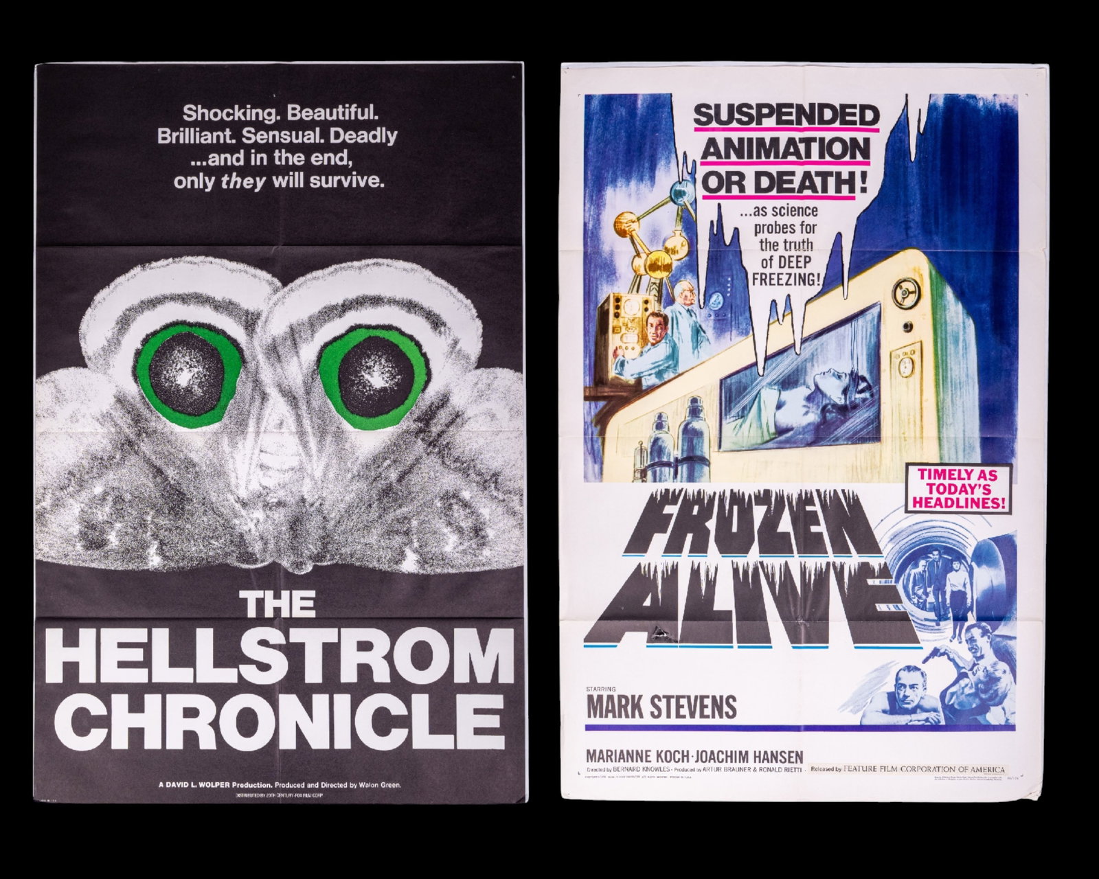 Horror Movie/ Science Fiction Movie Posters: Frozen Alive and The Hellstrom Chronicle from the National Screen Service Corp Movie poster marked 66/169. Both approx 27 x 41 inches with fold marks.