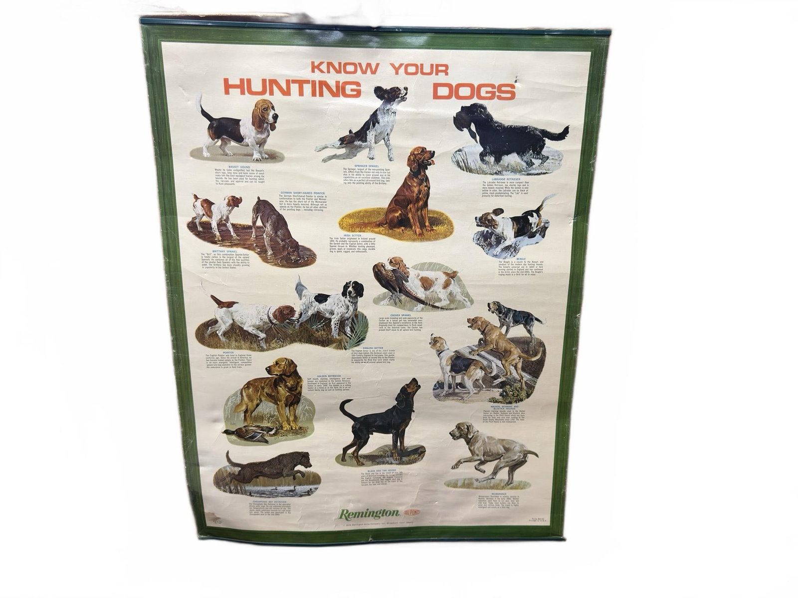 1974 Remington Poster Know Your Hunting Dogs (1 of 6)