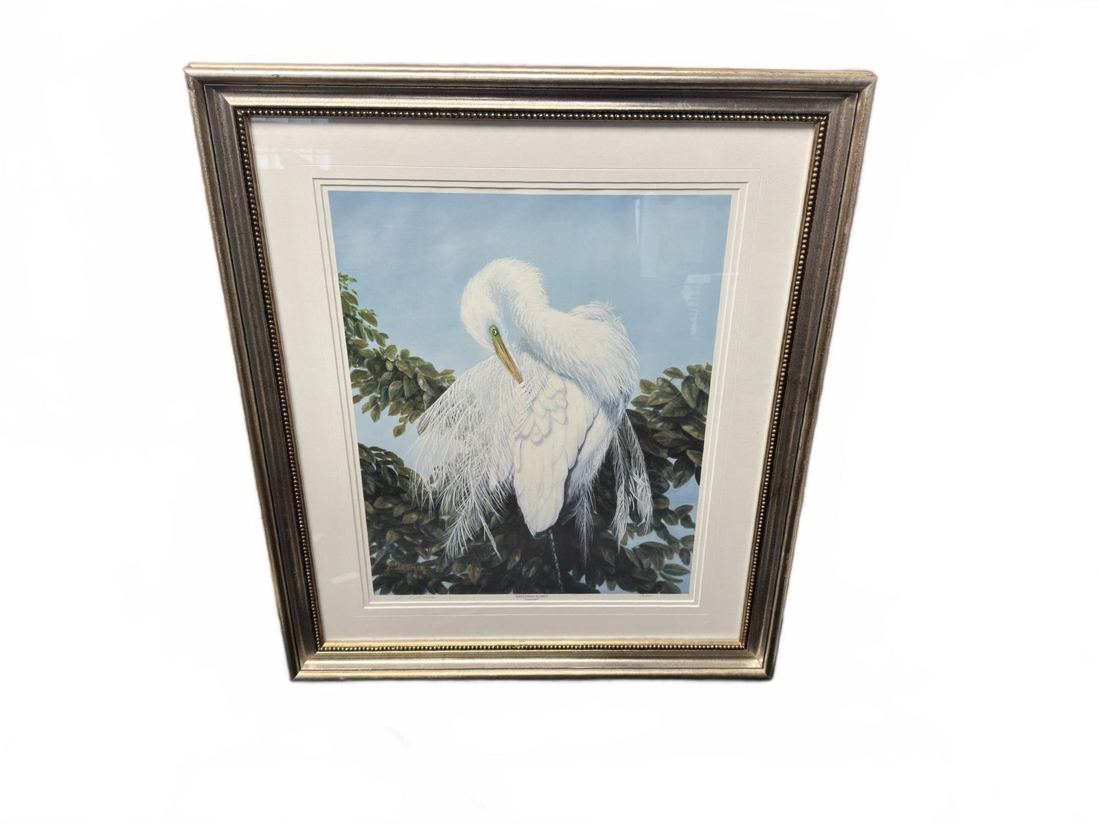 P. Dittmar Pencil Signed Numbered Print: Framed color print titled 'Preening Egret' by Cape May Court House artist Peg Dittmar, pencil signed and numbered by the artist. The edition is highlighted below the image. Includes mat and decorative
