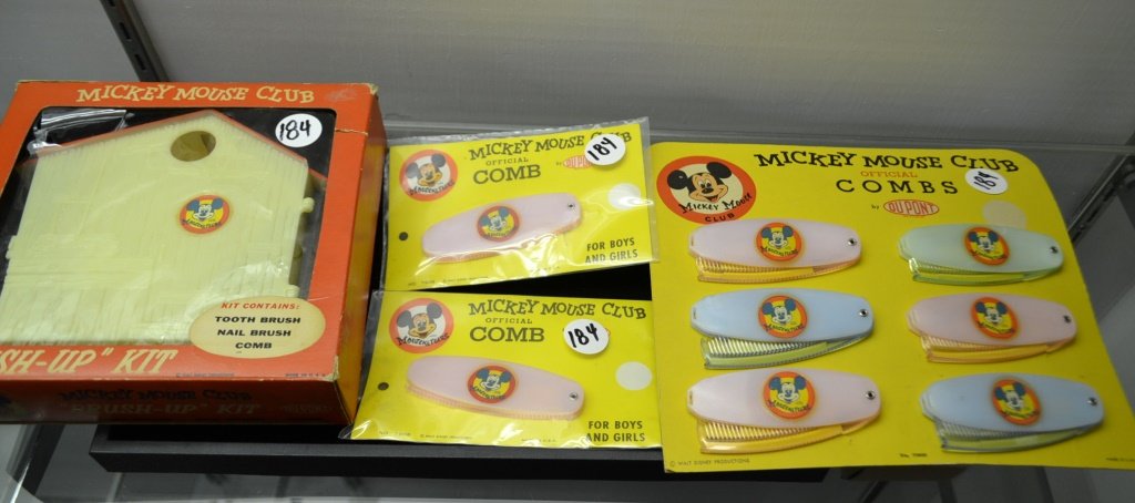 Walt Disney Brush Up KIt and Combs (1 of 3)