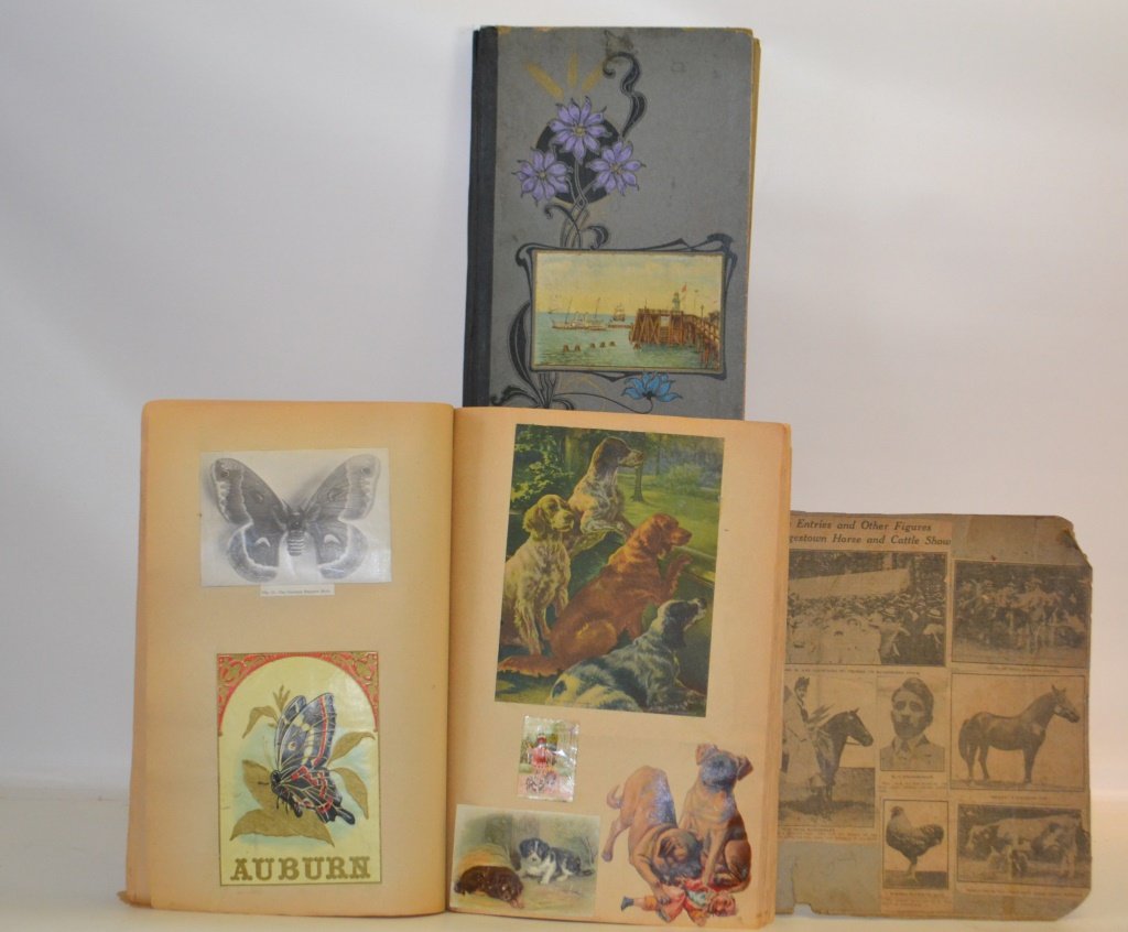 Paper Cut Out Scrapbook and Empty Postcard Album (1 of 2)