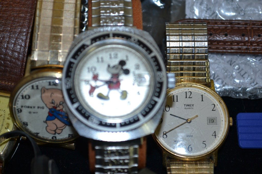 Collection Of Premium & Character Watches (1 of 4)