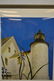 Jamie Wyeth (B 1946 American) Very Large Signed - 2