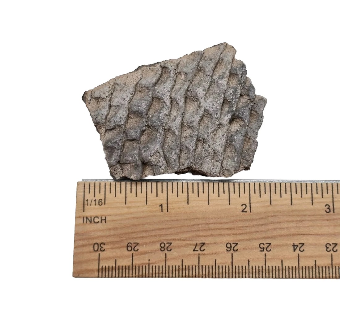Native American pottery Shards - 4