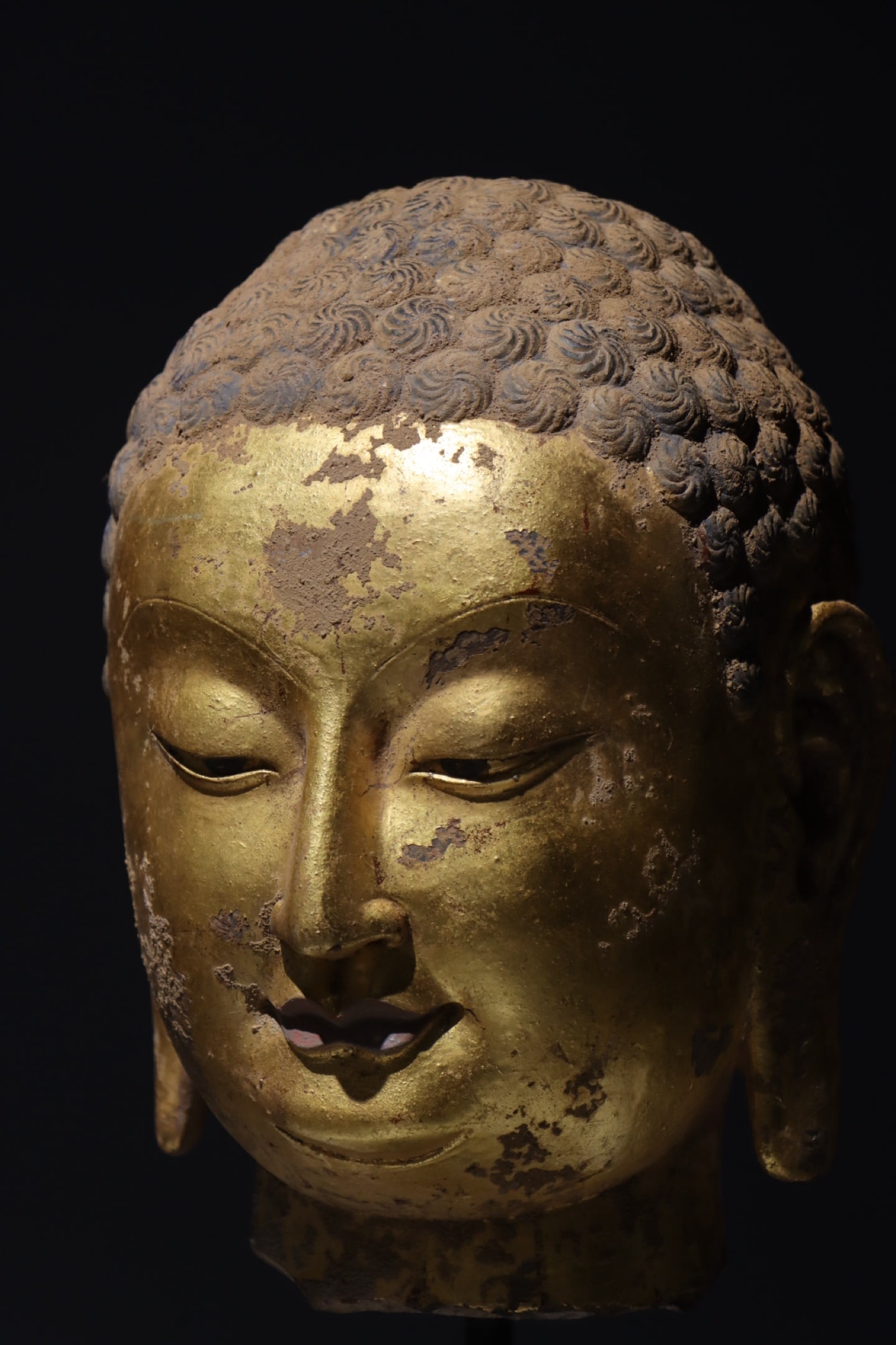 THE NORTHERN QI DYNASTY PASTED A GOLDEN BUDDHA HEAD