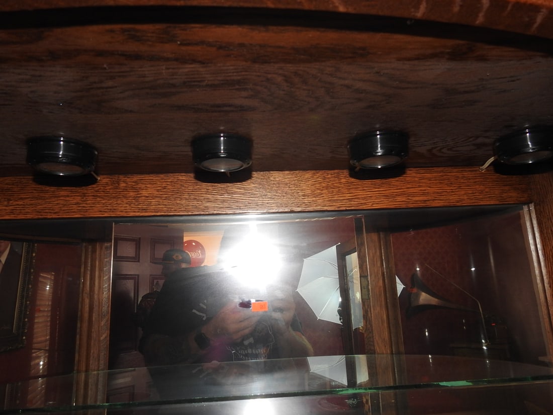 Oak Curved Glass Lighted Curio Cabinet - 10