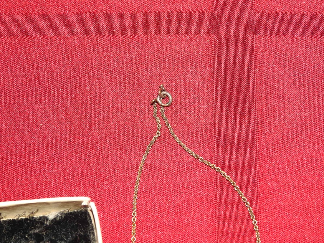 Hawaiian-Style Cowrie Shell Necklace - 2
