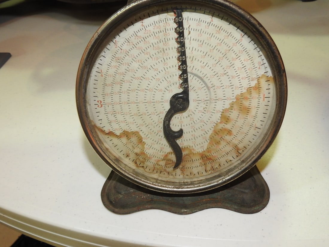 Gray, McLean and Percy Marked Hanging Scale - 3