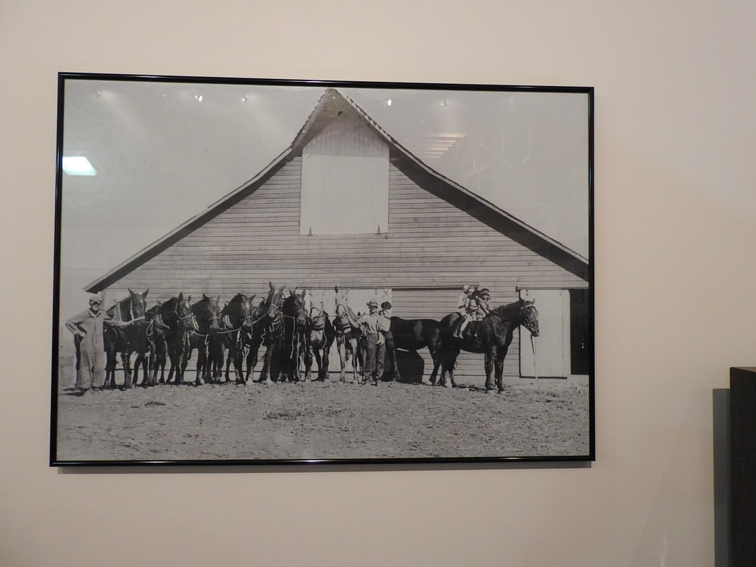 Framed Vintage Horse Team Photograph: Large framed vintage-style horse team photograph/print with rustic farm or stable scene. Approx. 24.5 x 34 x 1 in. Frame and print show age/display wear, surface marks, dust and backing wear; see phot