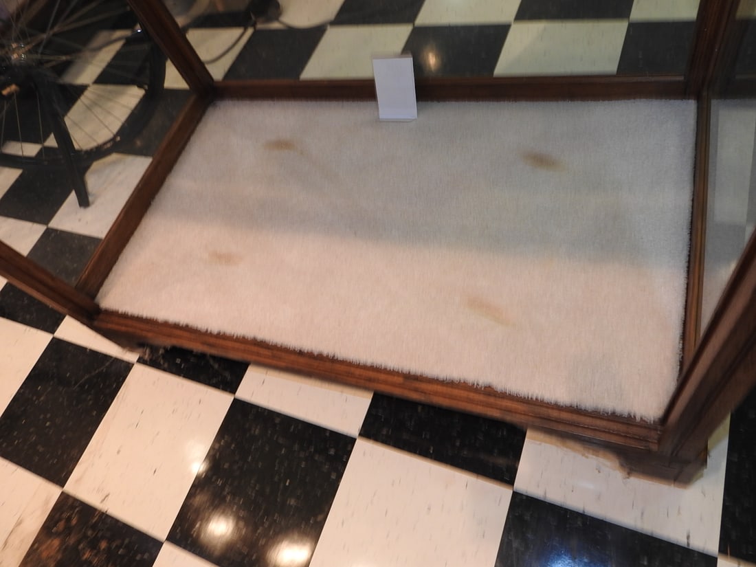 Vintage Glass Display Case - 5