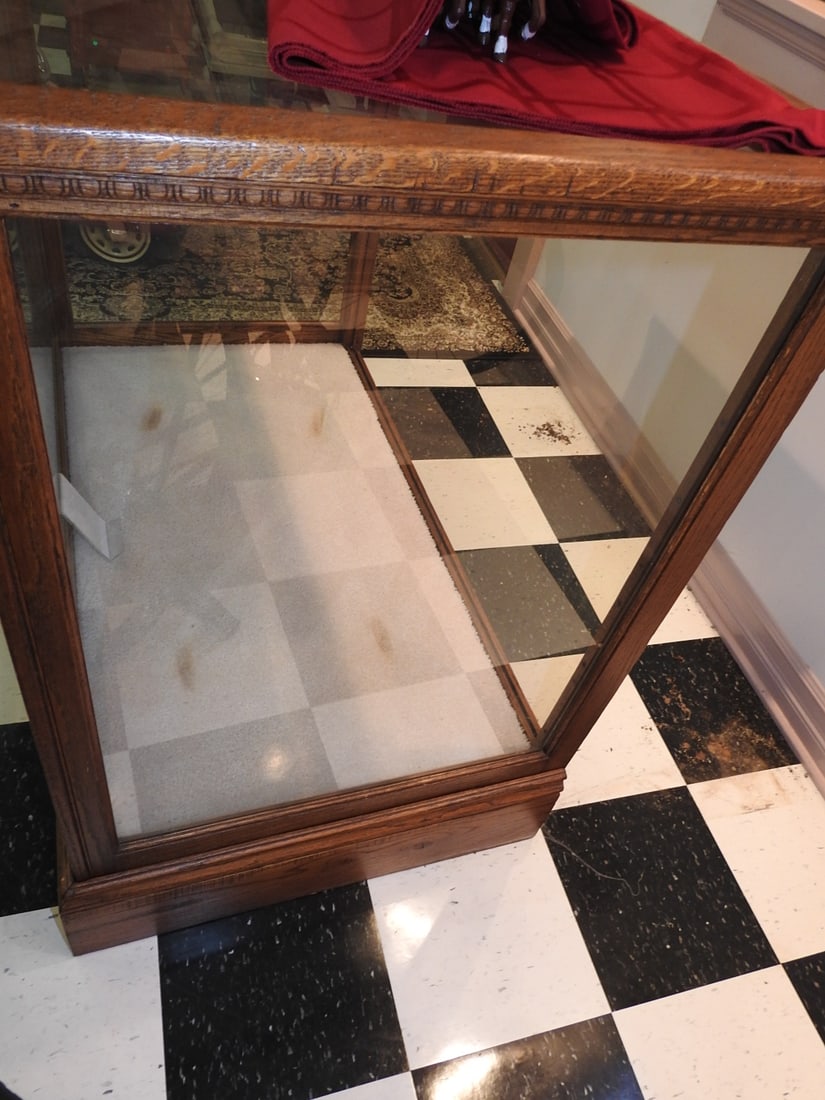 Vintage Glass Display Case - 7