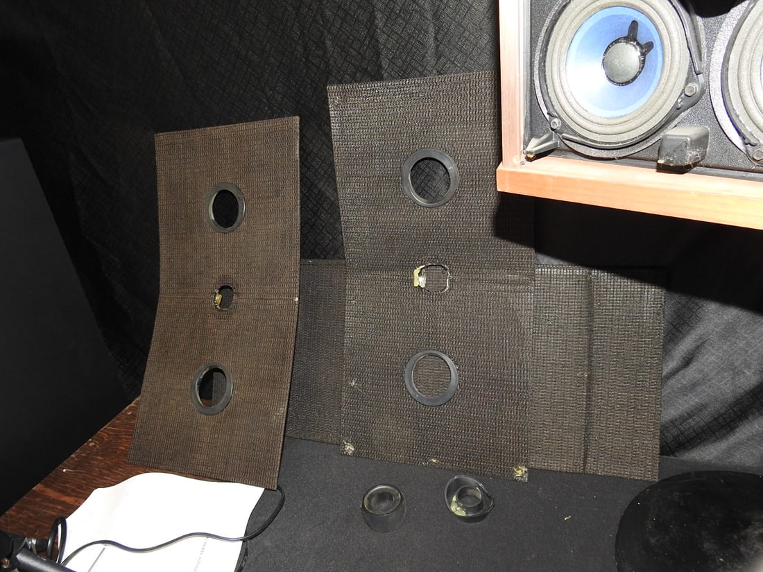 Bose 901 Series V Speakers with Tulip Stands - 10