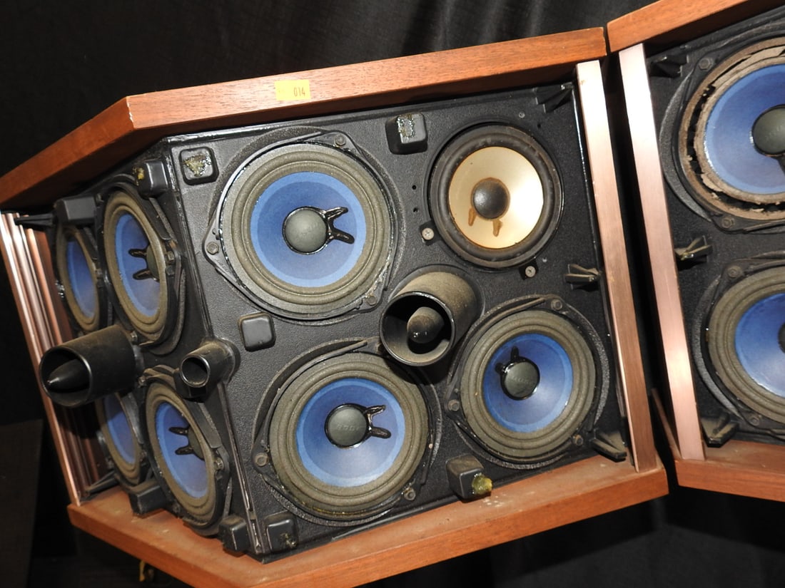 Bose 901 Series V Speakers with Tulip Stands - 11